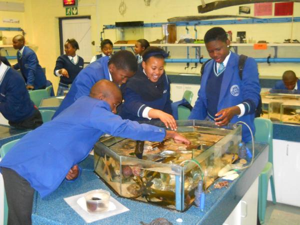 Learners at the aquarium. Photo by Mzukisi Lembeni.