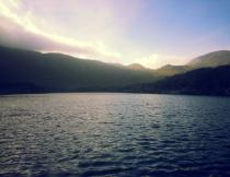 Silvermine in summer. Photo by Gareth Dawson.