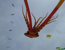 The Squid at the Muizenberg Kite Festival. Photo by Jacqui Jojo.