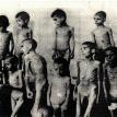 Romani children in the death camp at Auschwitz who were used for medical experiements. Source: Wikipedia. Romani children in the death camp at Auschwitz who were used for medical experiements. Source: Wikipedia.
