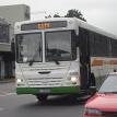 A Golden Arrow bus.