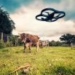 Activists won't be cowed by drone debate. Photo by Flickr user Lima Pix. (CC BY 2.0) Activists won't be cowed by drone debate. Photo by Flickr user Lima Pix. (CC BY 2.0)