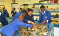 Learners at the aquarium. Photo by Mzukisi Lembeni.