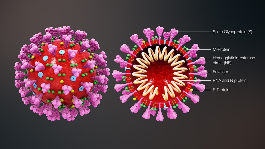 Graphic of coronavirus