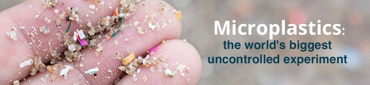 Microplastics video series