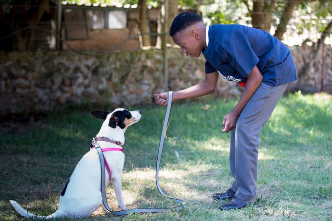 Photo of boy training dog.