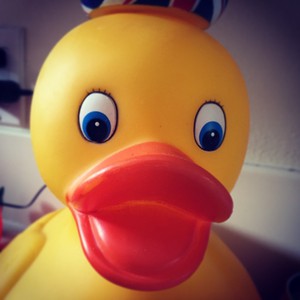 Photo of toy duck