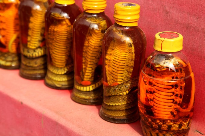 Photo of snake oil