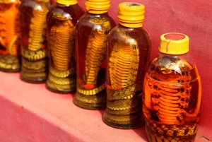 Photo of bottles of snake oil