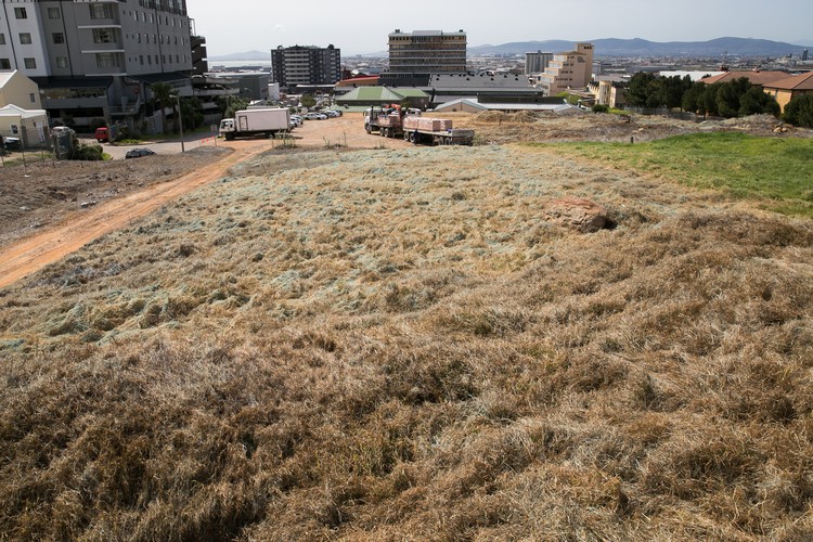 Photo of Pickwick Road empty land