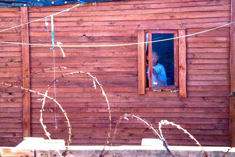 Photo of a boy looking through a window