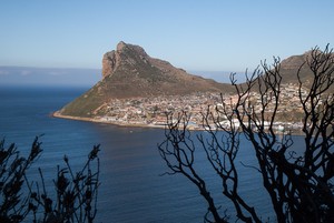 Photo of Hout Bay from Chapman's Peak Drive
