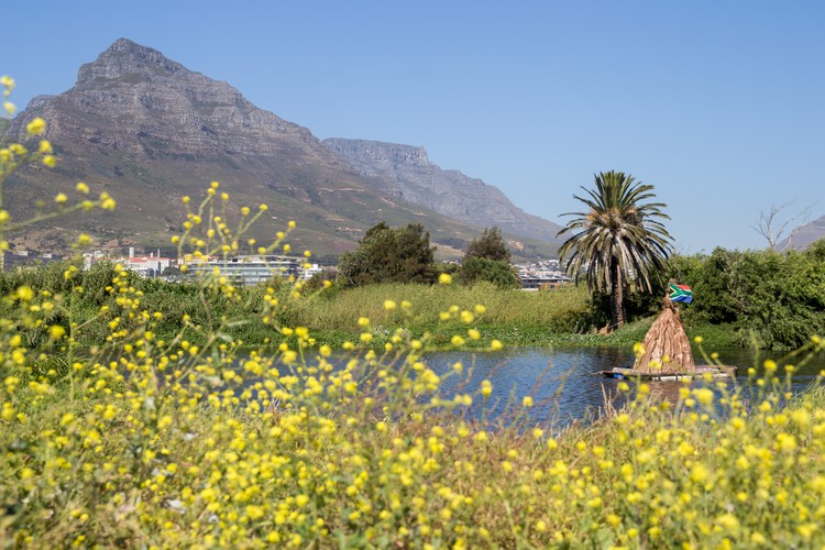 Photo of the area with Table Mountain behind