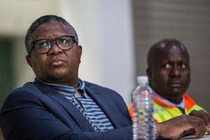 Fikile Mbalula after the Western Cape's train system was suspended