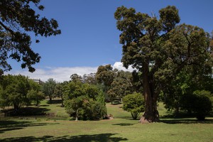 Photo of a park
