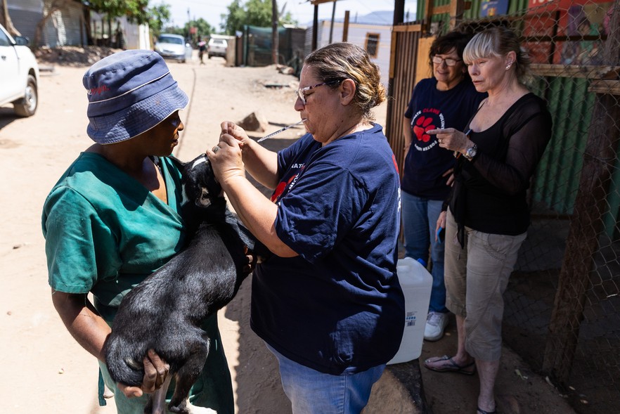 Summary image for article