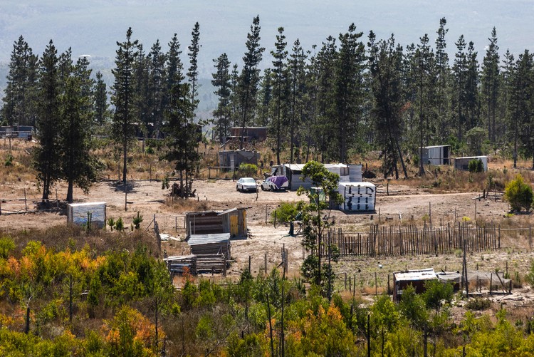 Summary image for article