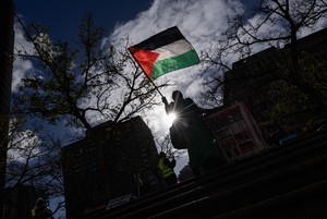Palestine Protest