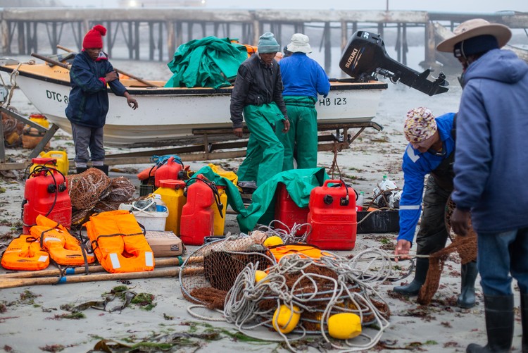 Summary image for article