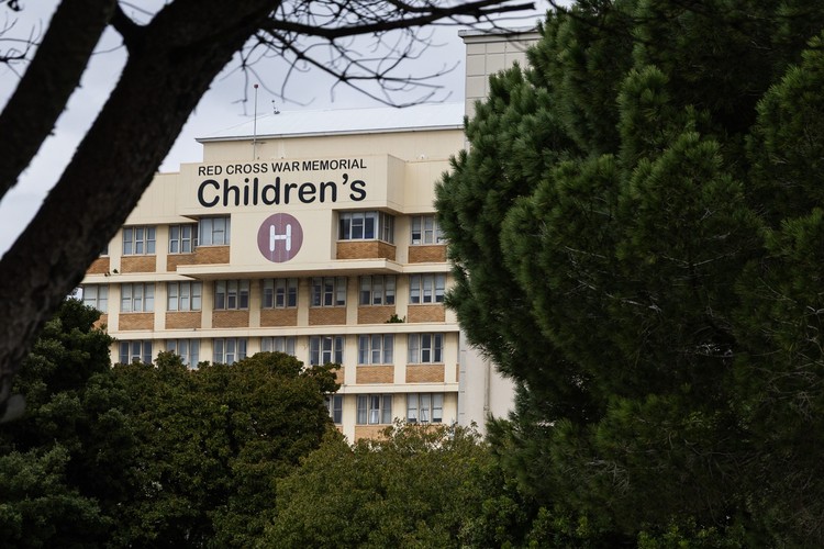 Summary image for article