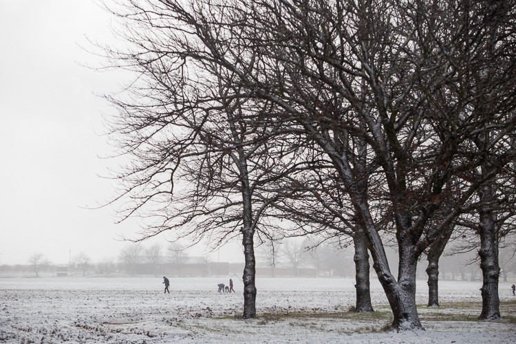 Photo of snow covered area