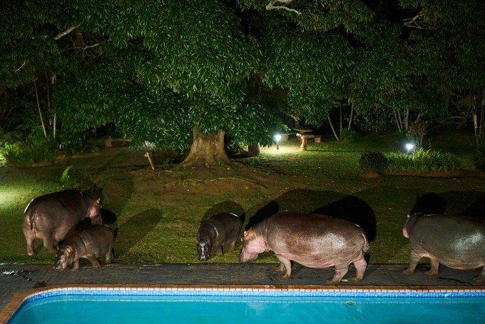 Summary image for article