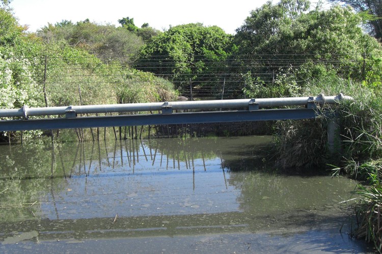 Summary image for article