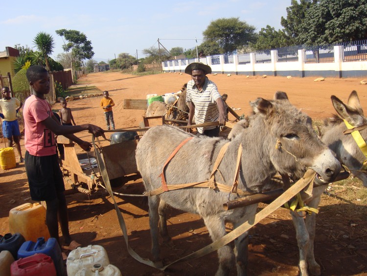 Summary image for article
