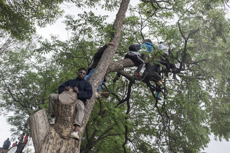Some protesters decided to climb tree’s to get a better view of the proceedings at the Zimbabwe Grounds.