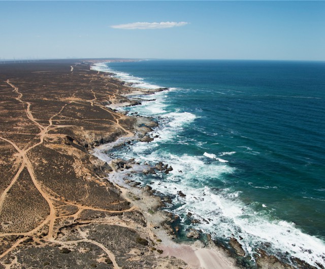 Aerial photo of the coast