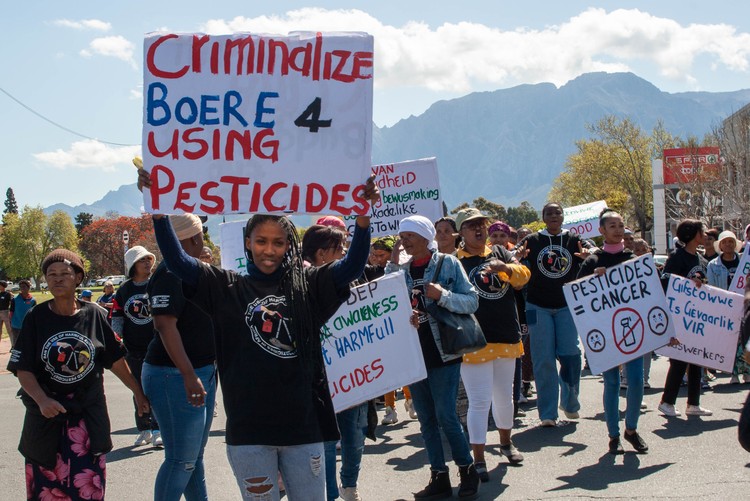 Farm women marched in Worcester in the Western Cape against the use of harmful pesticides. - Liezl Human