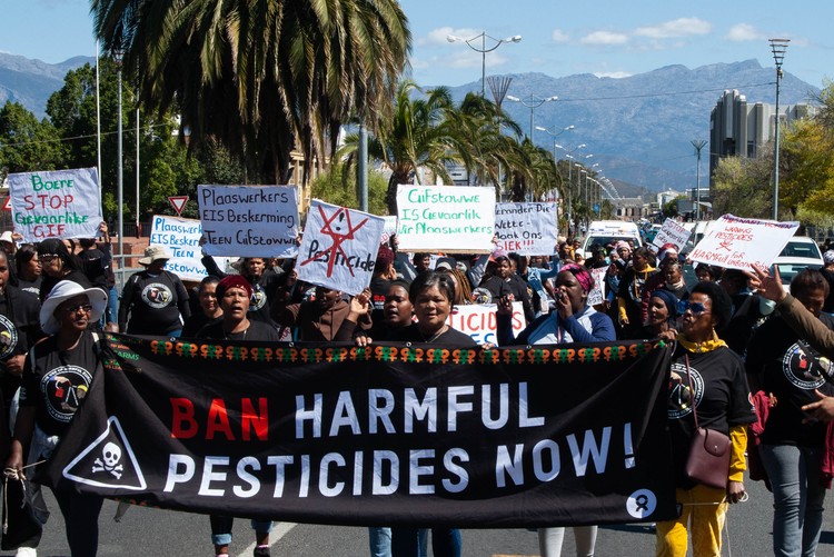 Farm workers protest against pesticides