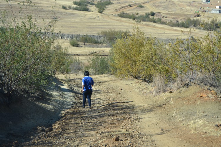 Photo of woman on road