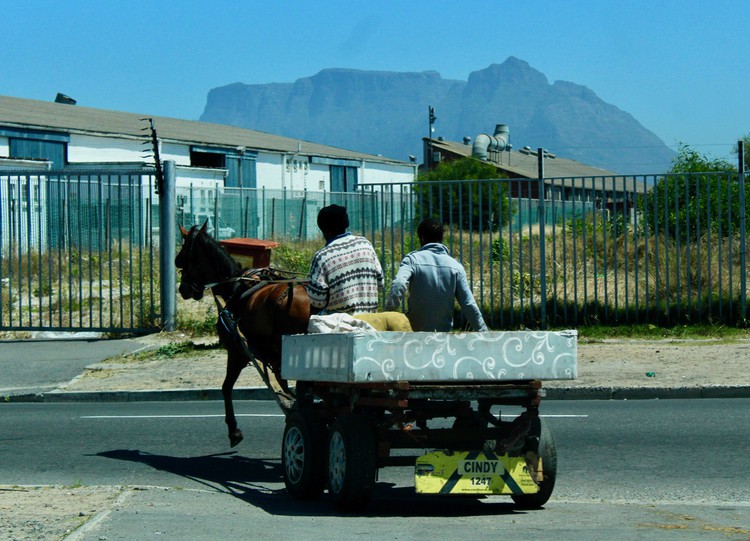 Photo of a cart and horse