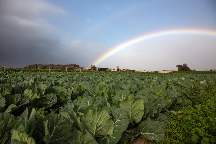 Photo of farm