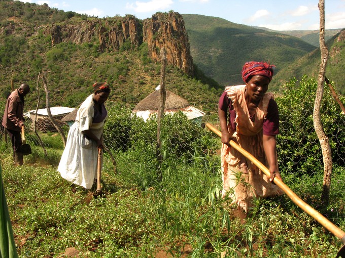 Photo of women tilling crops