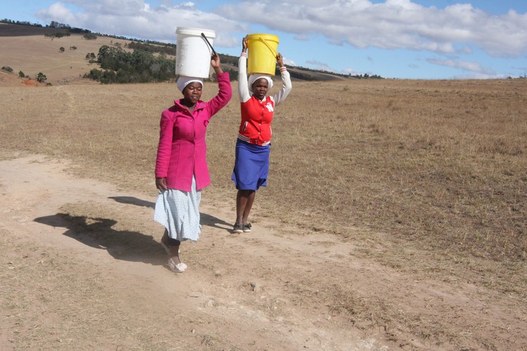 Photo of people carrying water
