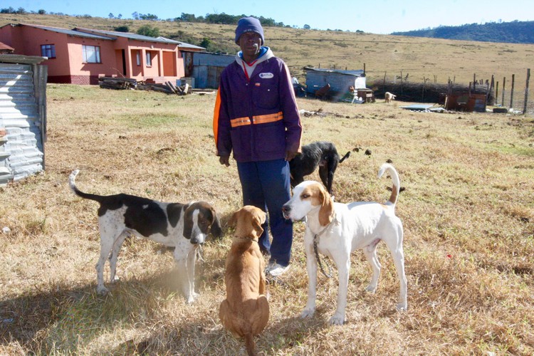 Photo of a man with dogs