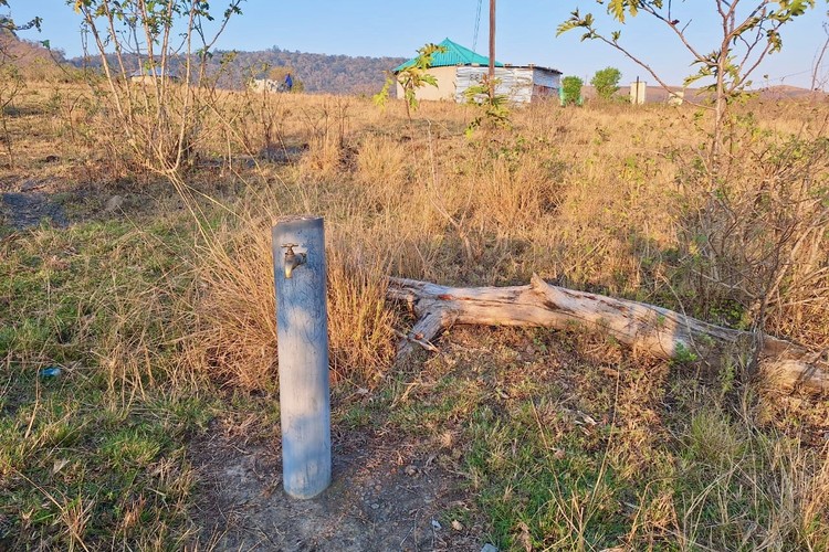 Summary image for article