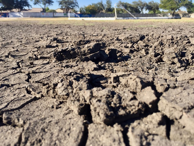 Photo of dried out earth