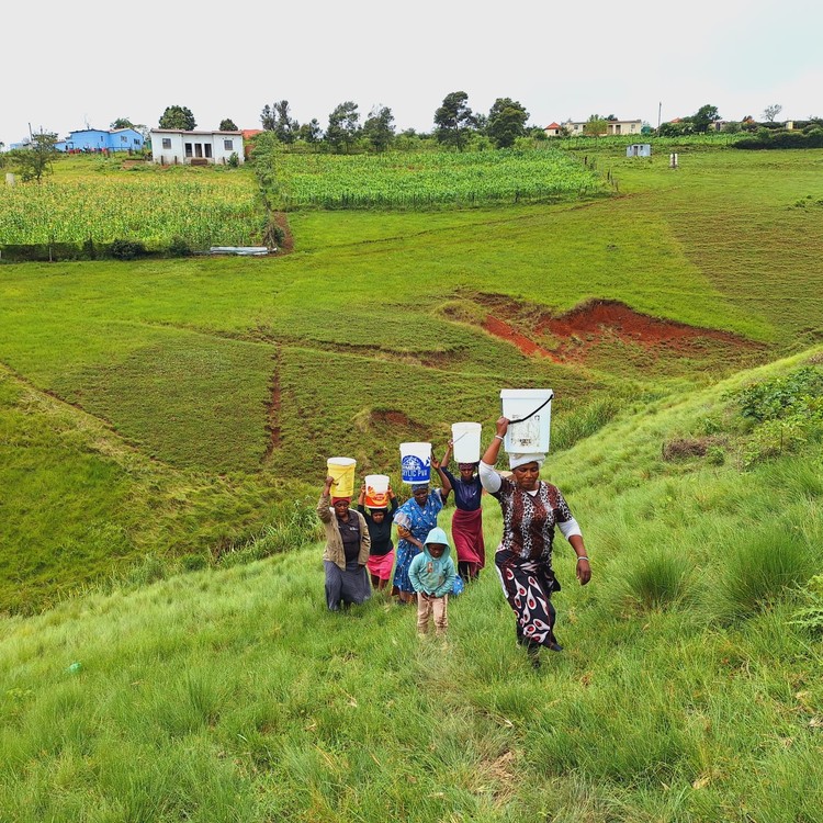 Summary image for article