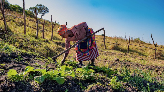 Photo of a woman working the land