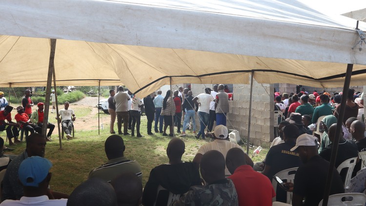 Summary image for article