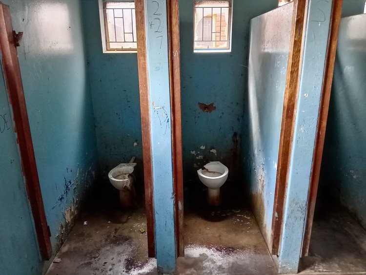 Summary image for article