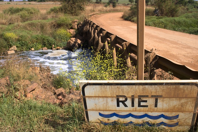 Summary image for article
