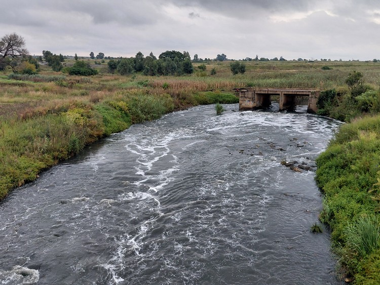 Summary image for article