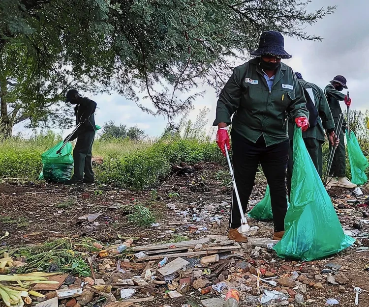 Summary image for article