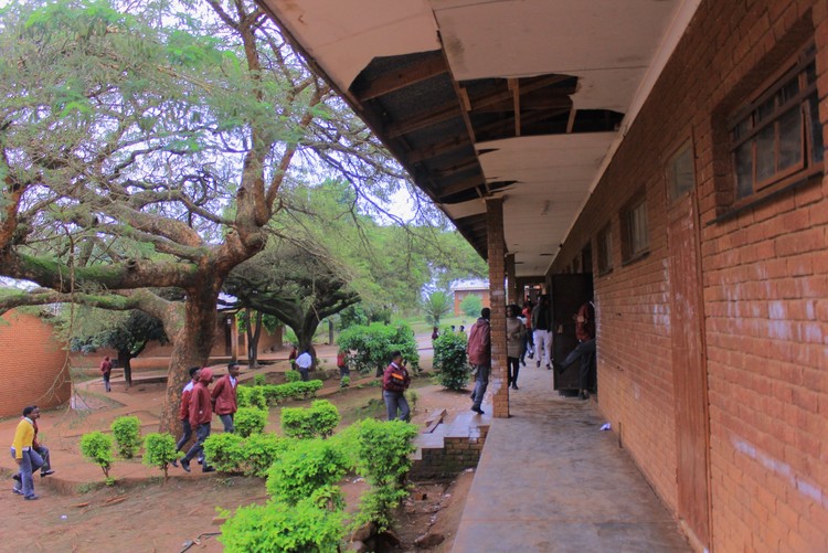 Summary image for article