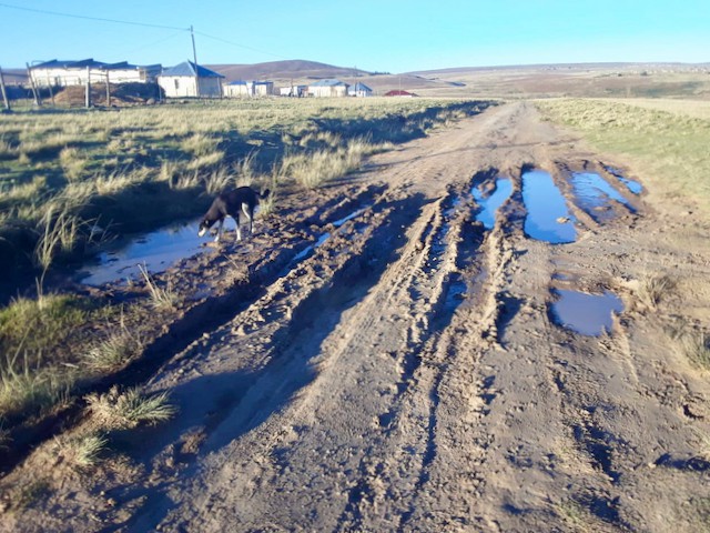 Eastern Cape Villagers Want To Know Why A New Road Never Reached Them Groundup