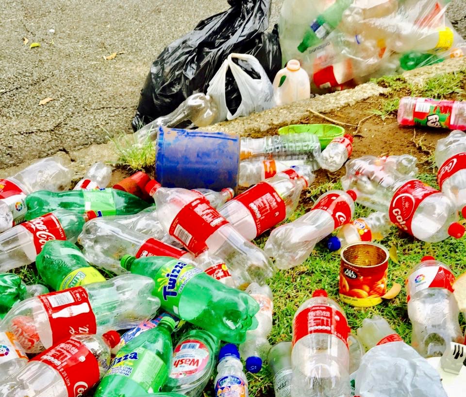 Photo of plastic bottles and cans
